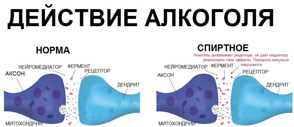 Как алкоголь действует на психику?