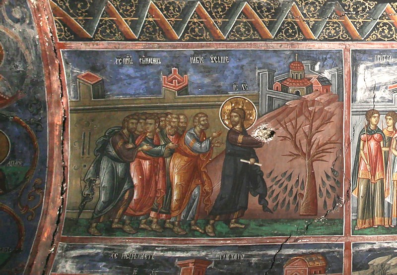 Великий Понедельник. Проклятие смоковницы, Фреска Печская патриархия, XIV век