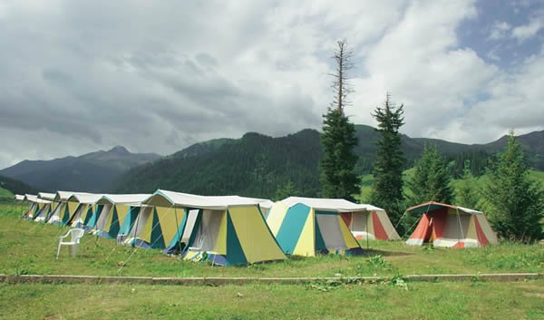 Палаточный лесной лагерь