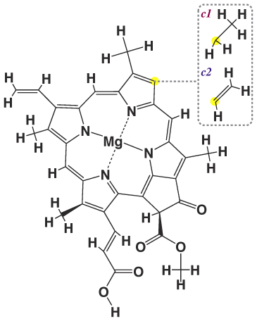 Структура хлорофилла С1 и С2