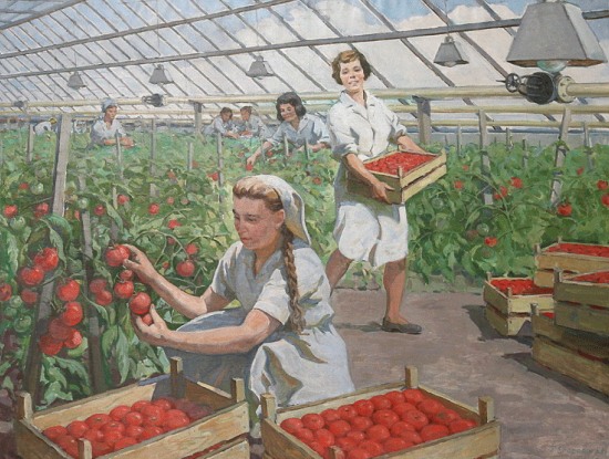 Сбор урожая помидоров. Тамара Егорова (1980)