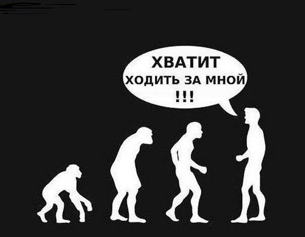 Права ли теистическая эволюция?