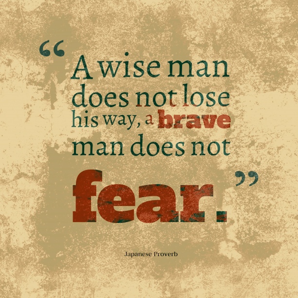 "A wise man does not lose his way, a brave man does not fear"     ,    