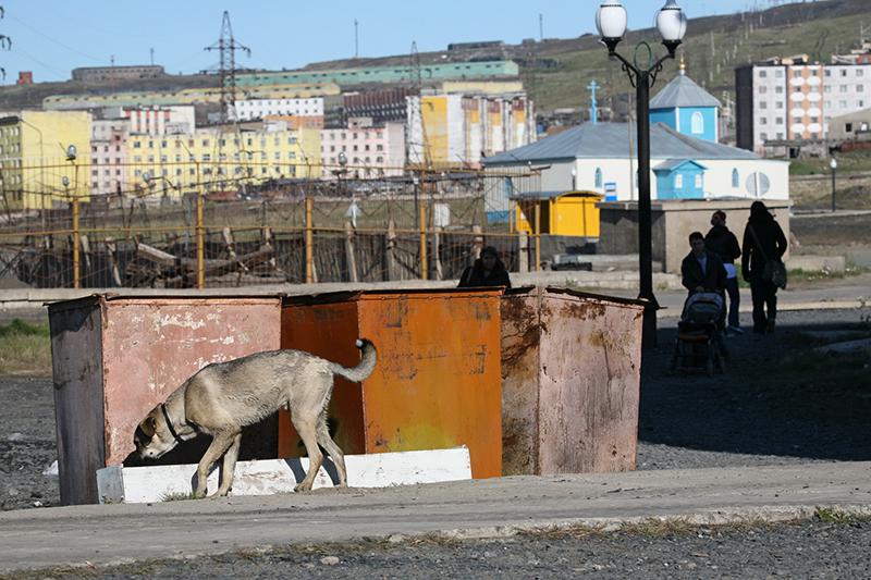 Певек, Чукотский АО. Изменение численности населения города: - 63,5%. Численность населения города на 01.01.2014: 4718 человек