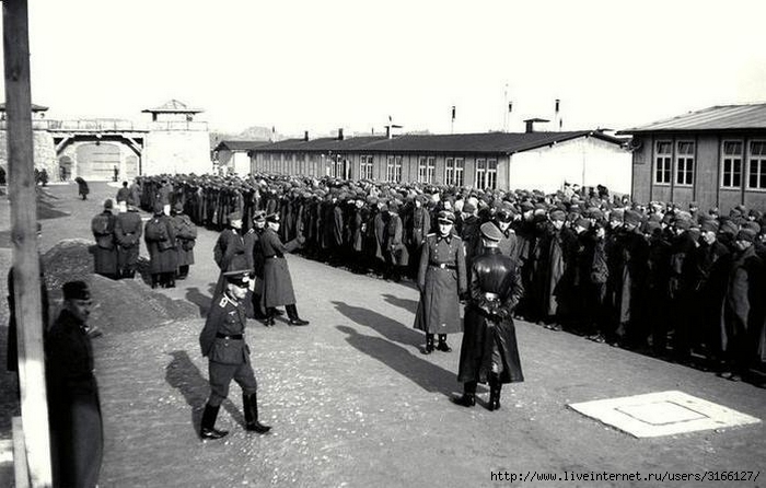Концлагерь третьей категории