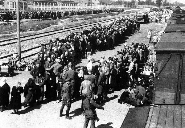 Прибытие заключенных в концлагерь Освенцим. Охранники формируют колонну заключенных. Вдалеке уже сформированная колонна движется в сторону крематориев 2 и 3. Позади ближней к зрителю колонны идет погрузка вещей заключенных в грузови