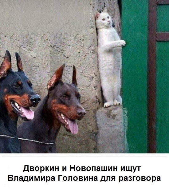 Тут один брат сделал картинку... В чем он неправ? Ни Дворкин, ни Новопашин, ни большинство адептов секты сектоборцев из РАЦИРС в реальности живого разговора не ищут. Впрочем, картинку можно подписать так: "Дворкин, Новопашин и Головин"