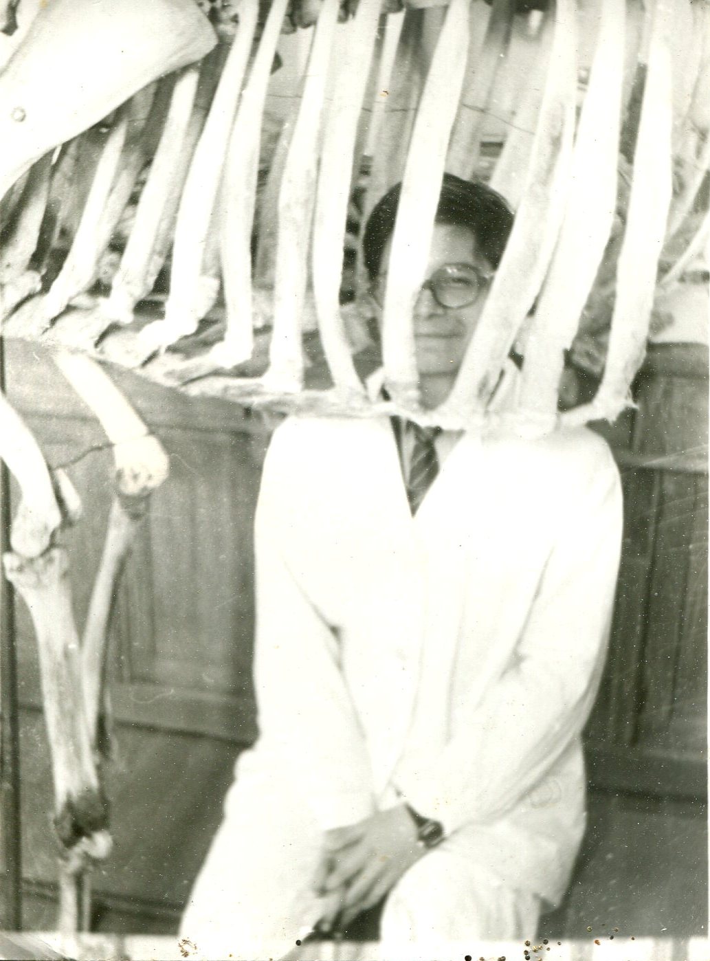 ������ ���������