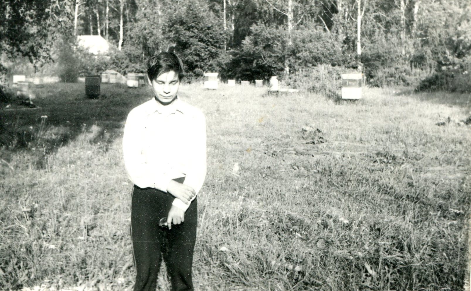 ������ ���������