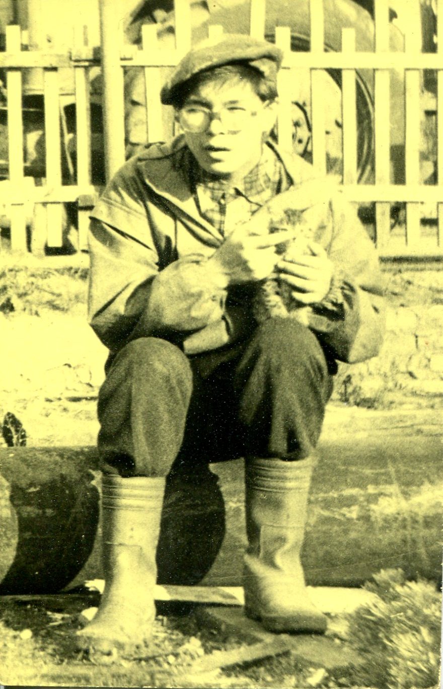 ������ ���������