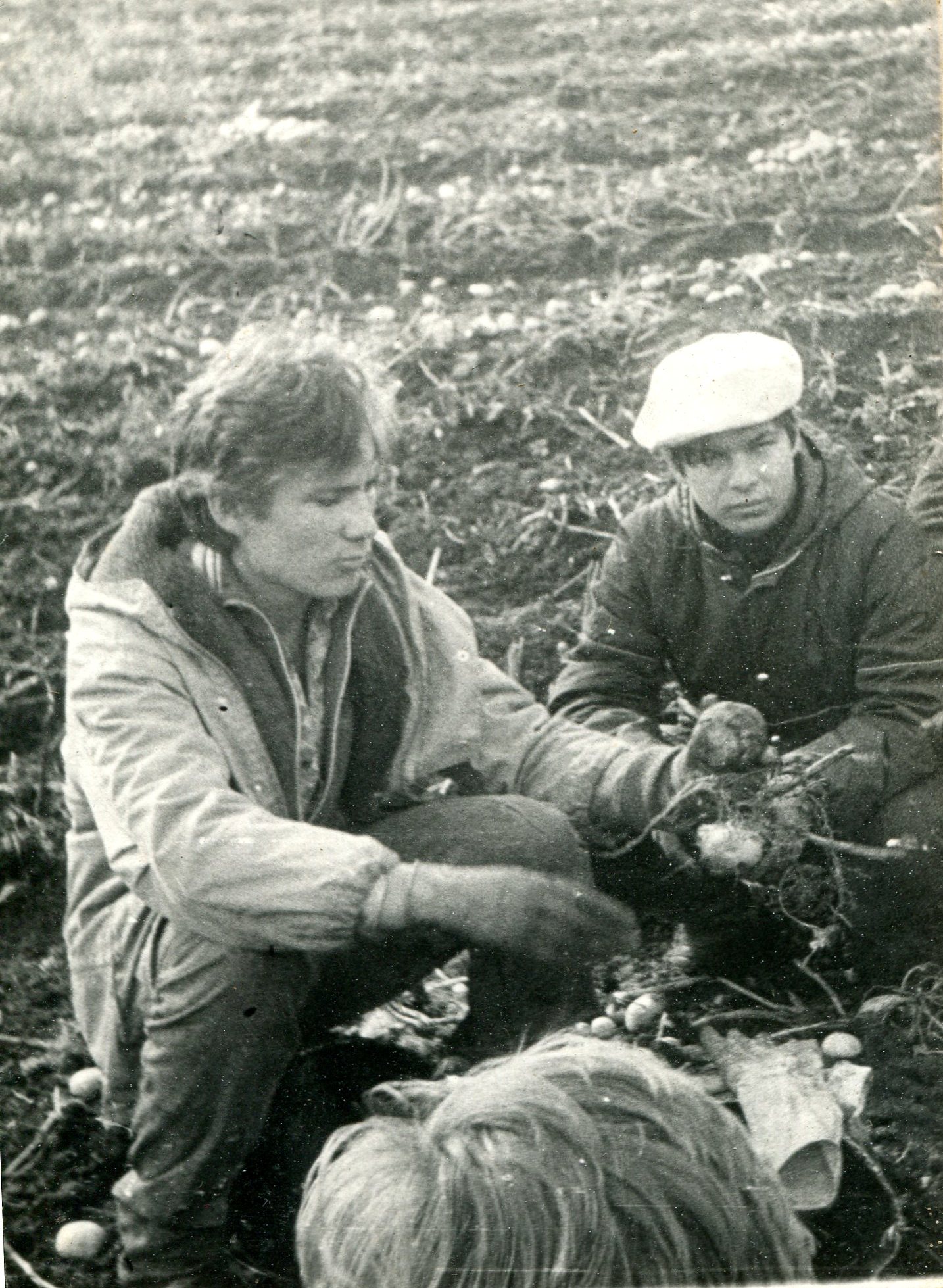 ������ ���������