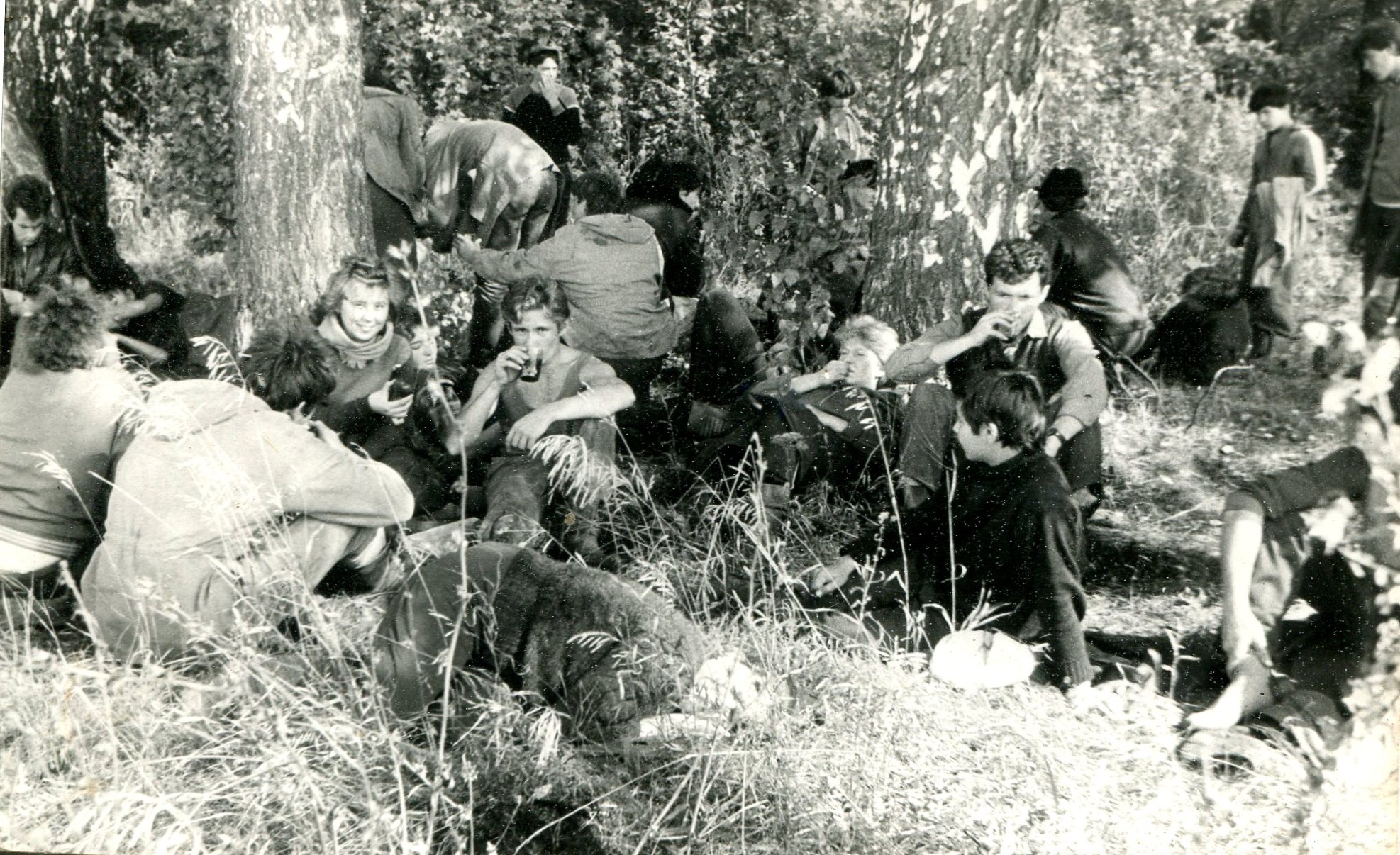 ������ ���������