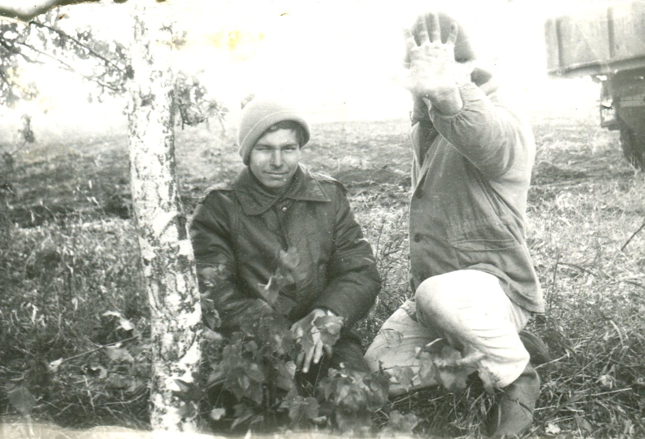 ������ ���������