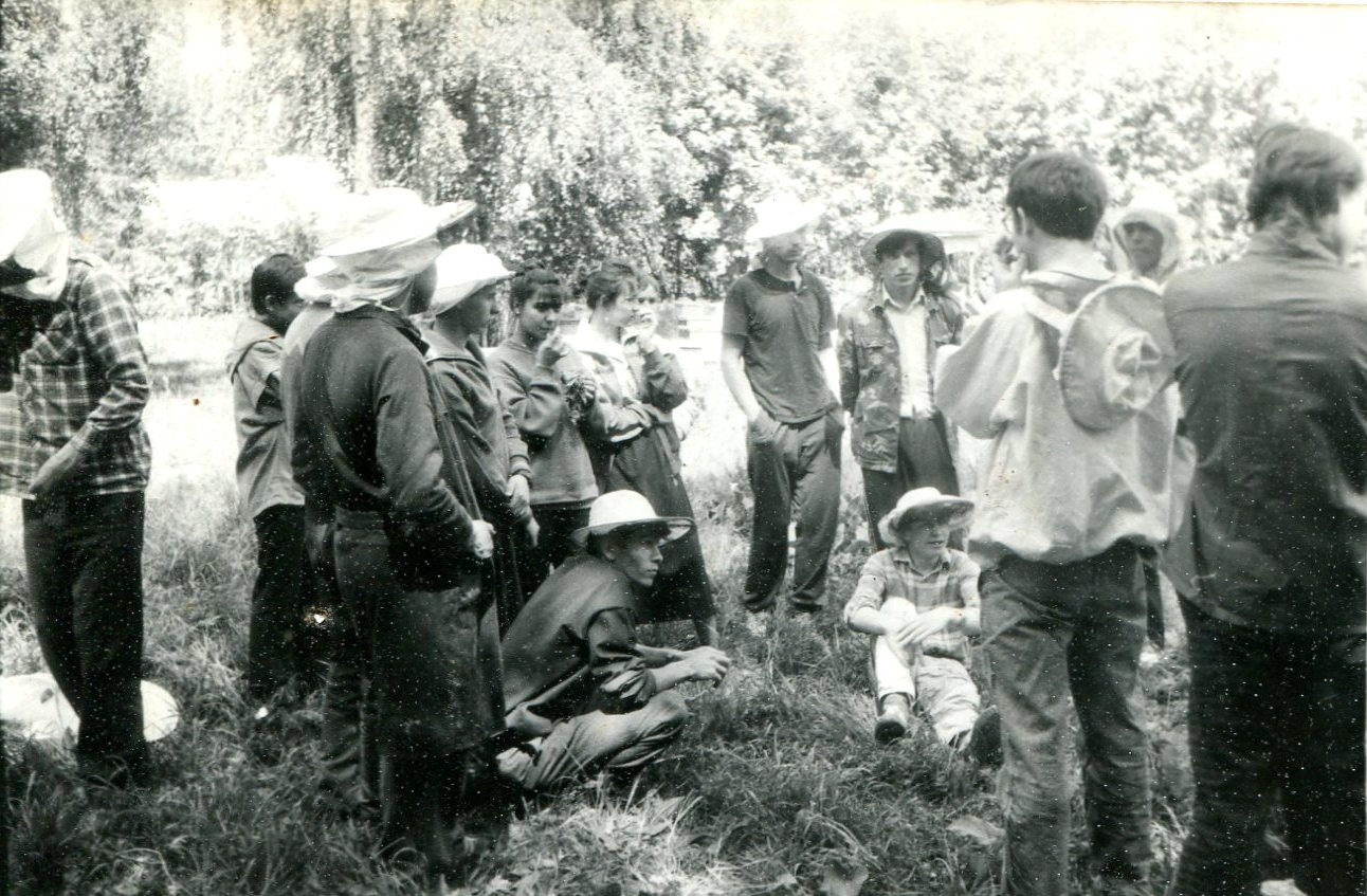 ������ ���������