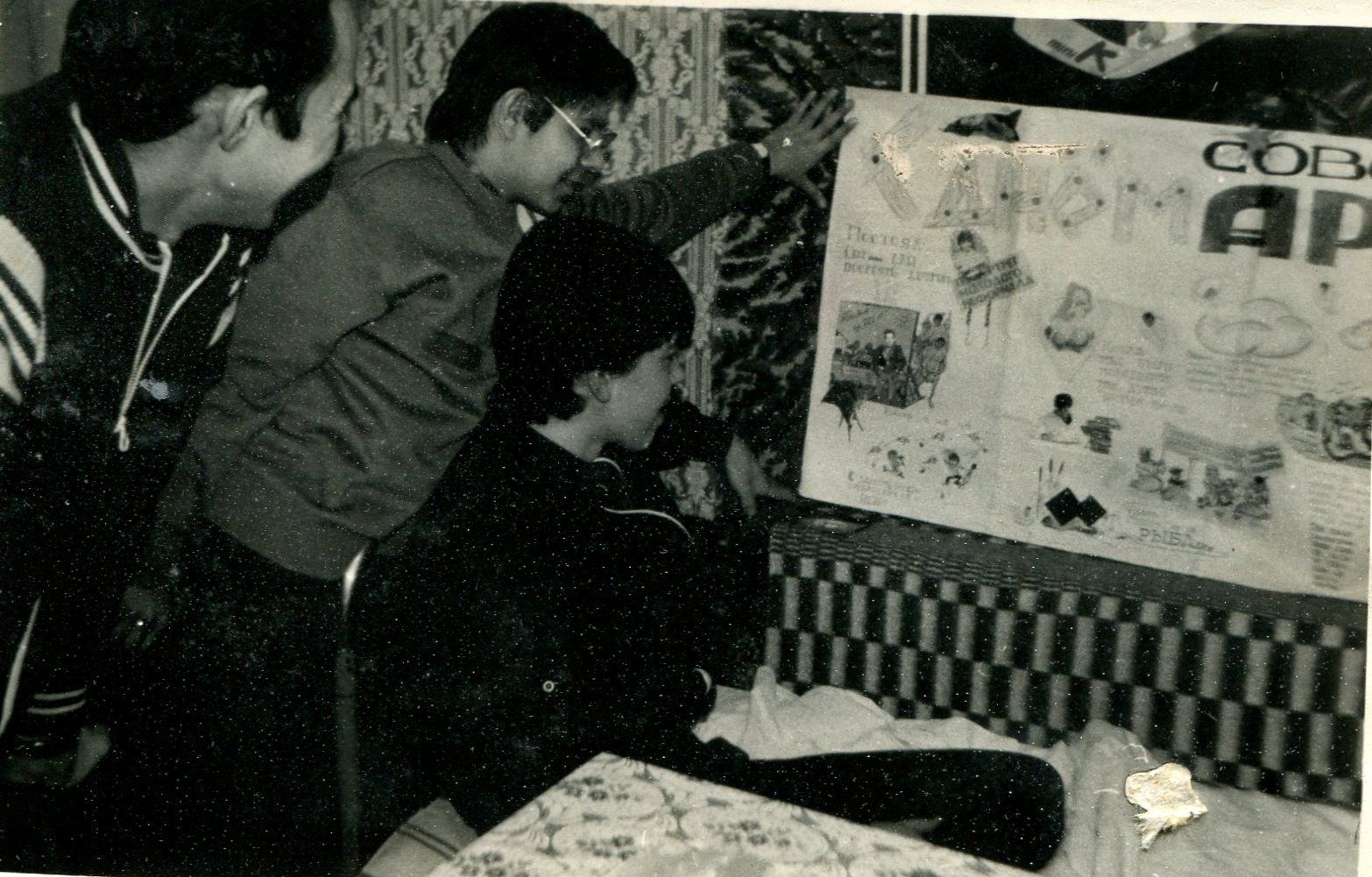 ������ ���������