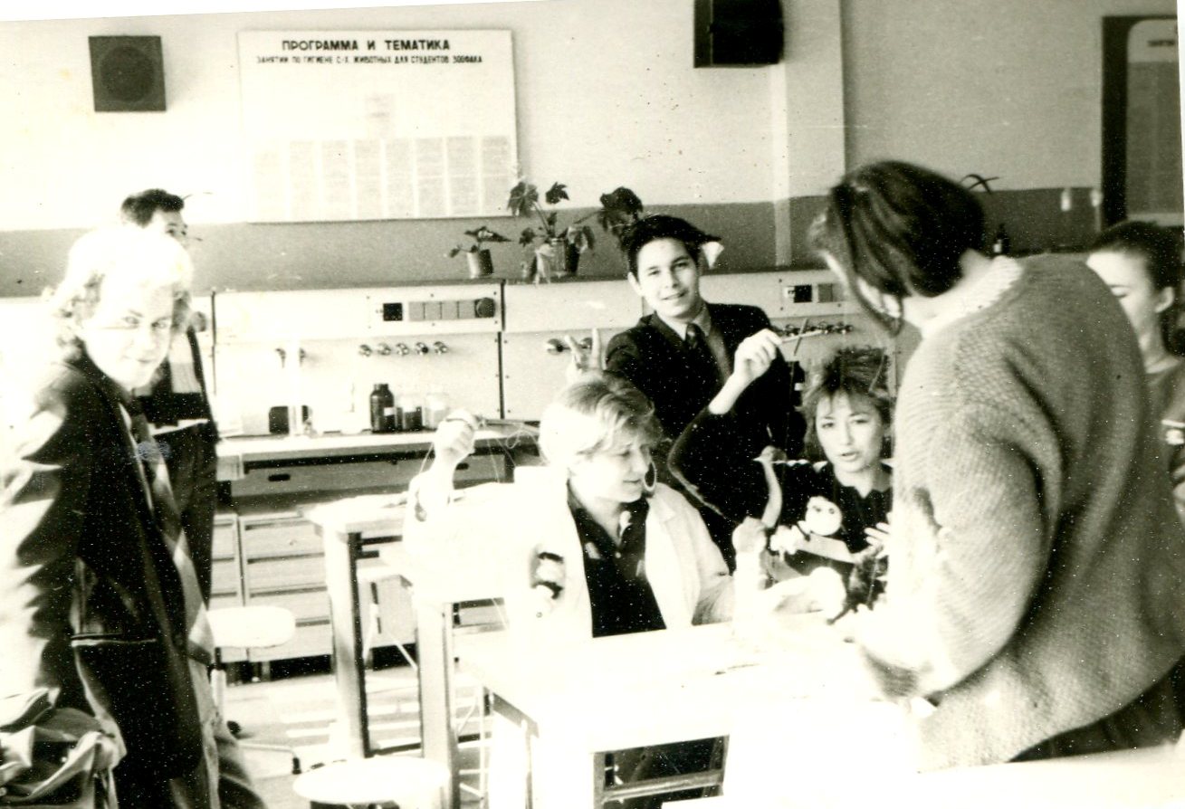 ������ ���������