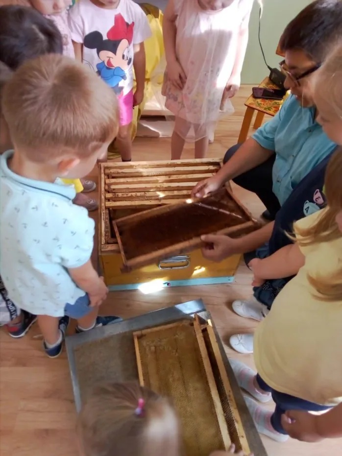 ������ ���������