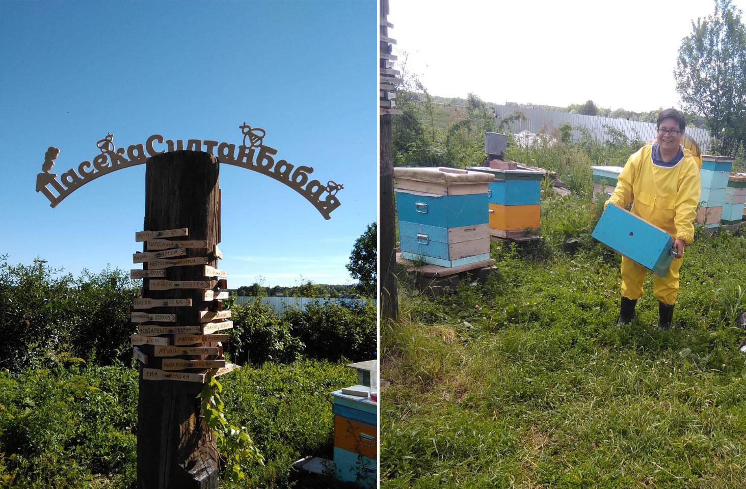 ������ ���������