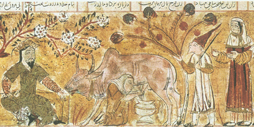 Миниатюра рукописи "Шахнаме" Фирдоуси, 1341. Мусульманин у себя дома. Вся жизнь мусульман определена Шариатом - тщательно разработанным сводом правил, регулирующим практически все сферы жизни, в том числе и семейные. В обязанности мужа входит полное содержание жены и детей. Многоженство разрешено, но не обязательно, как считают европейцы. 