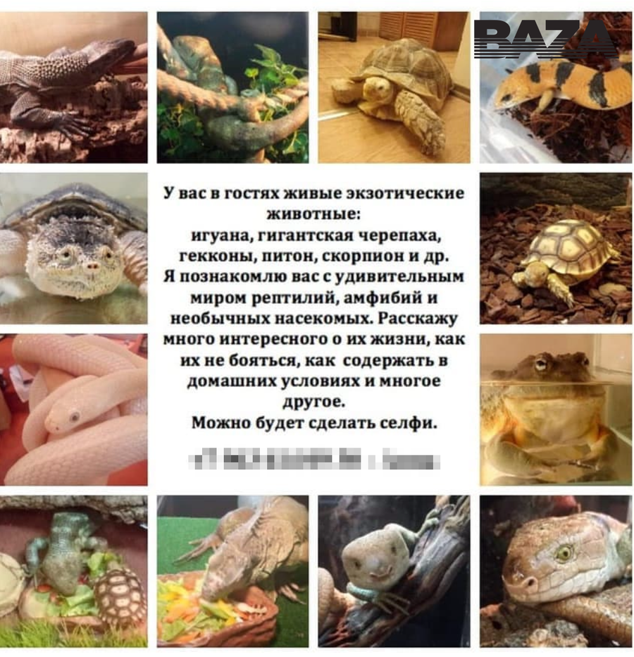 Зоопарк "бога" Кузи