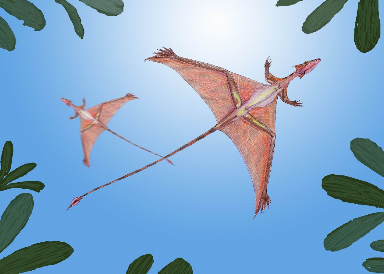 Вымерший птерозавр Sharovipteryx (Шаровиптерикс
