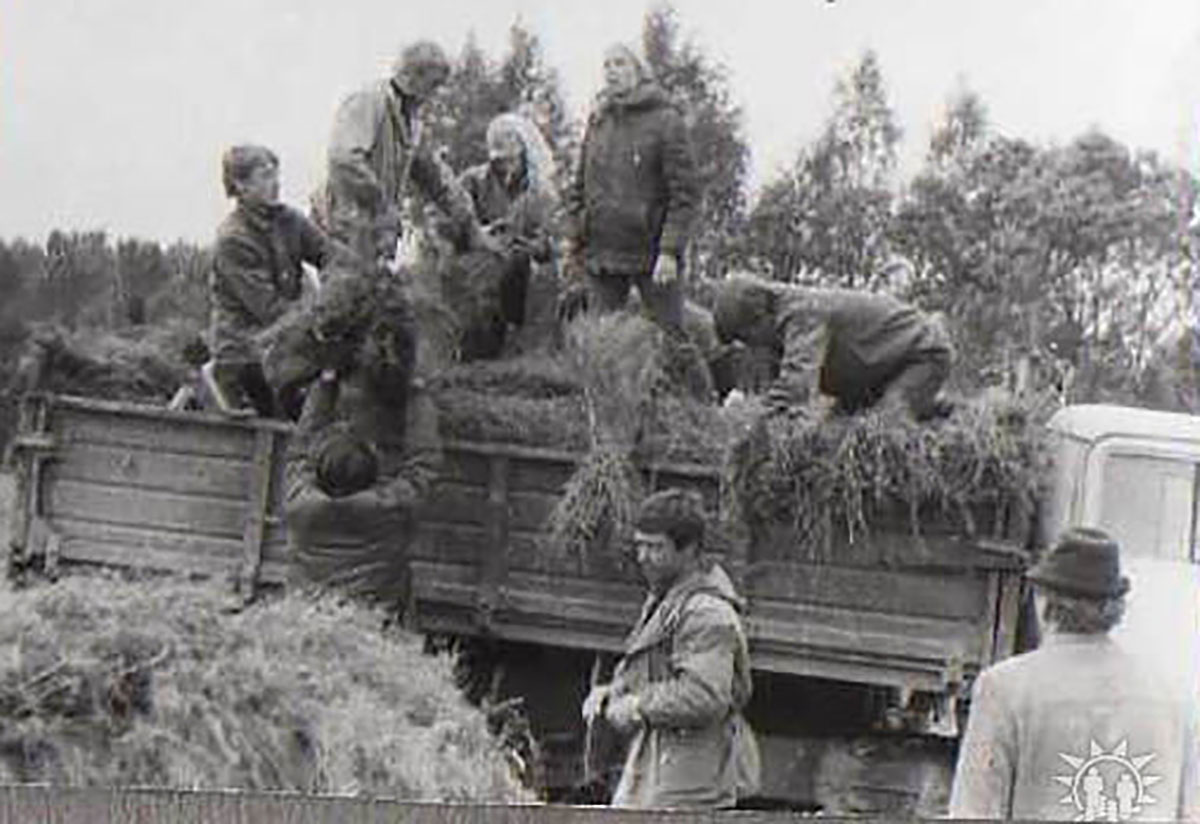 Коммуна Столбуна на колхозном поле. Фото: из личного архива Анны Чедии Сандермоен